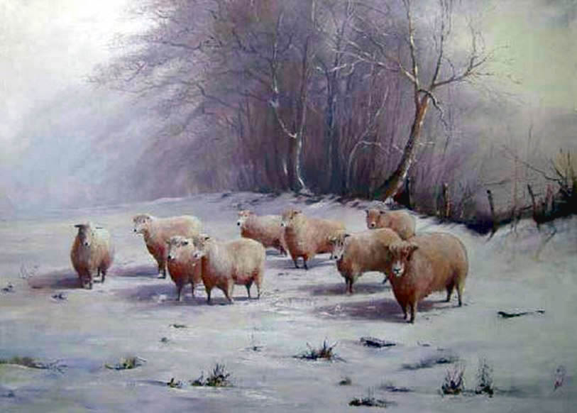 Cotswold Flock in Winter